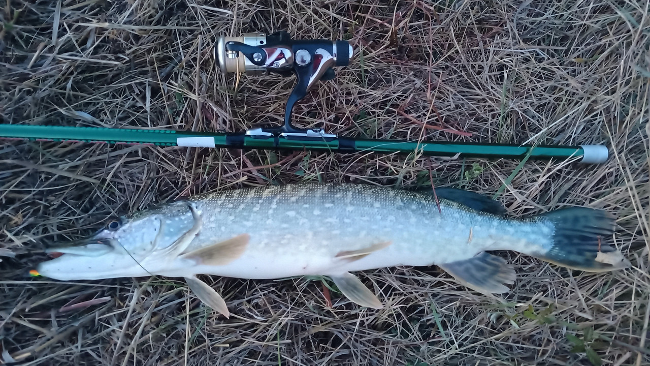 IMG_20240915_203601_001 (1)