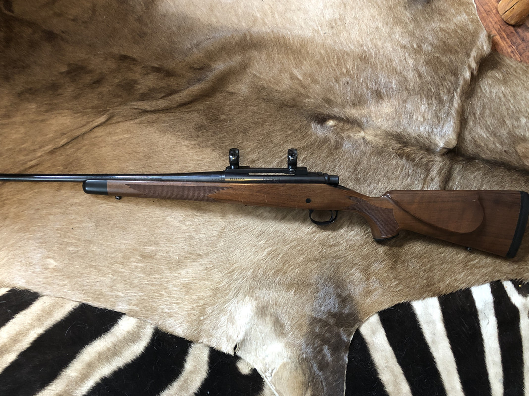 733F303A-103A-49B5-B1CA-E1DA104591FF