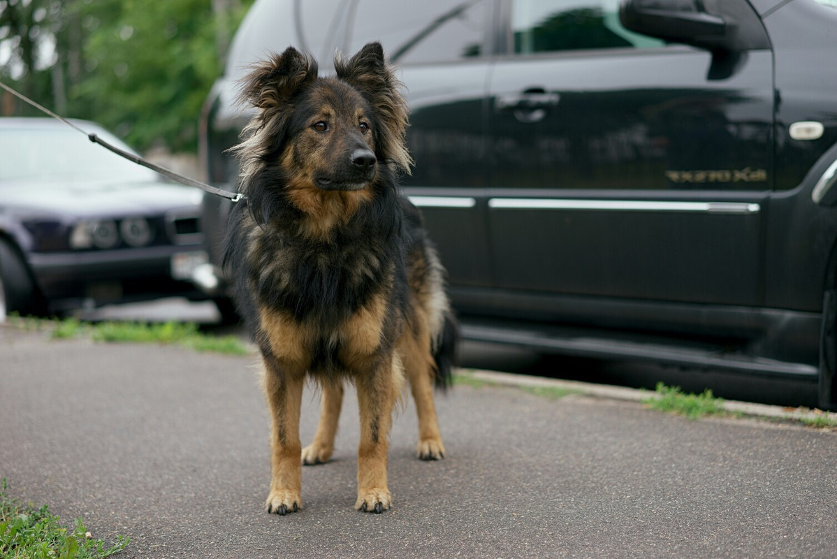 908A011C-F1A3-44C6-9C9F-49225B78AEA7