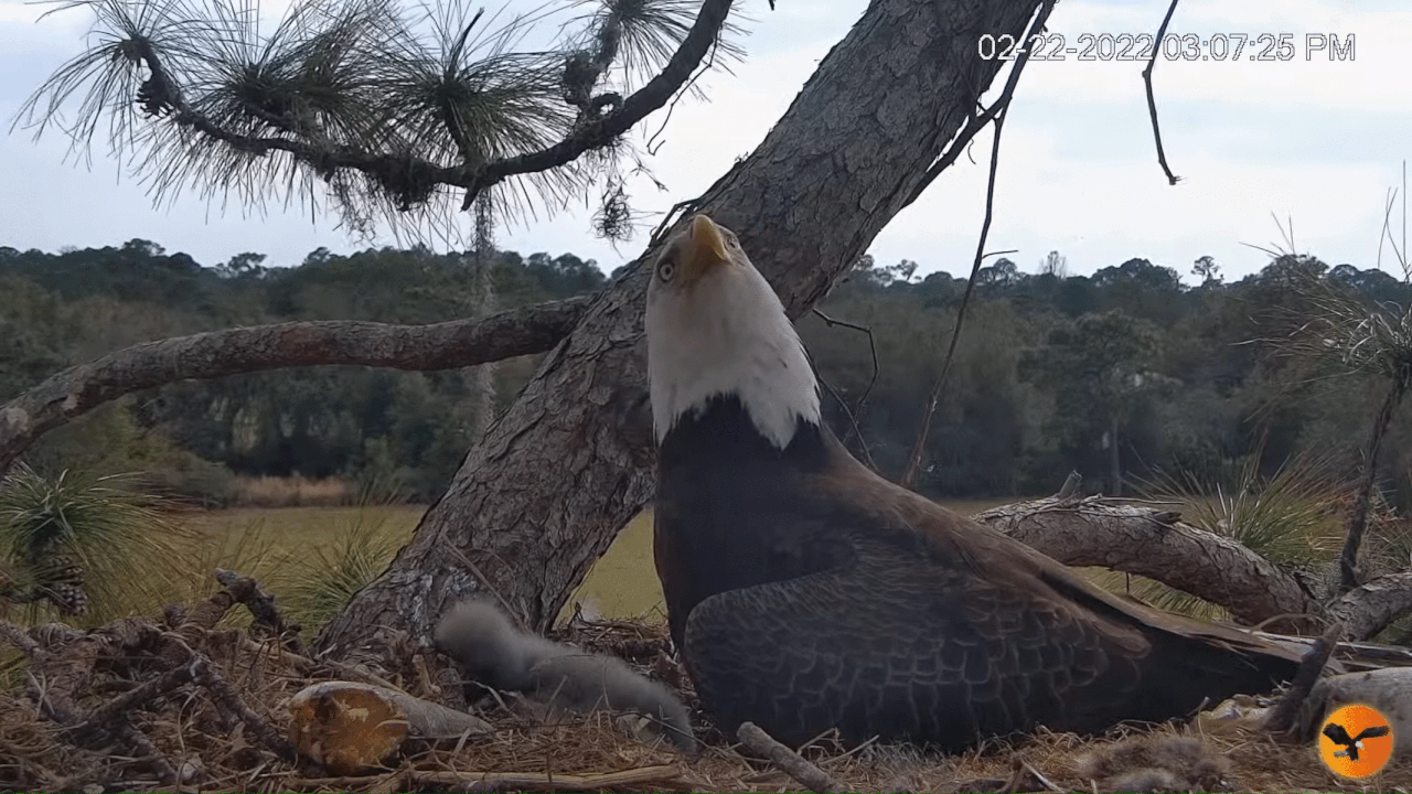 Webp.net-gifmaker (6)