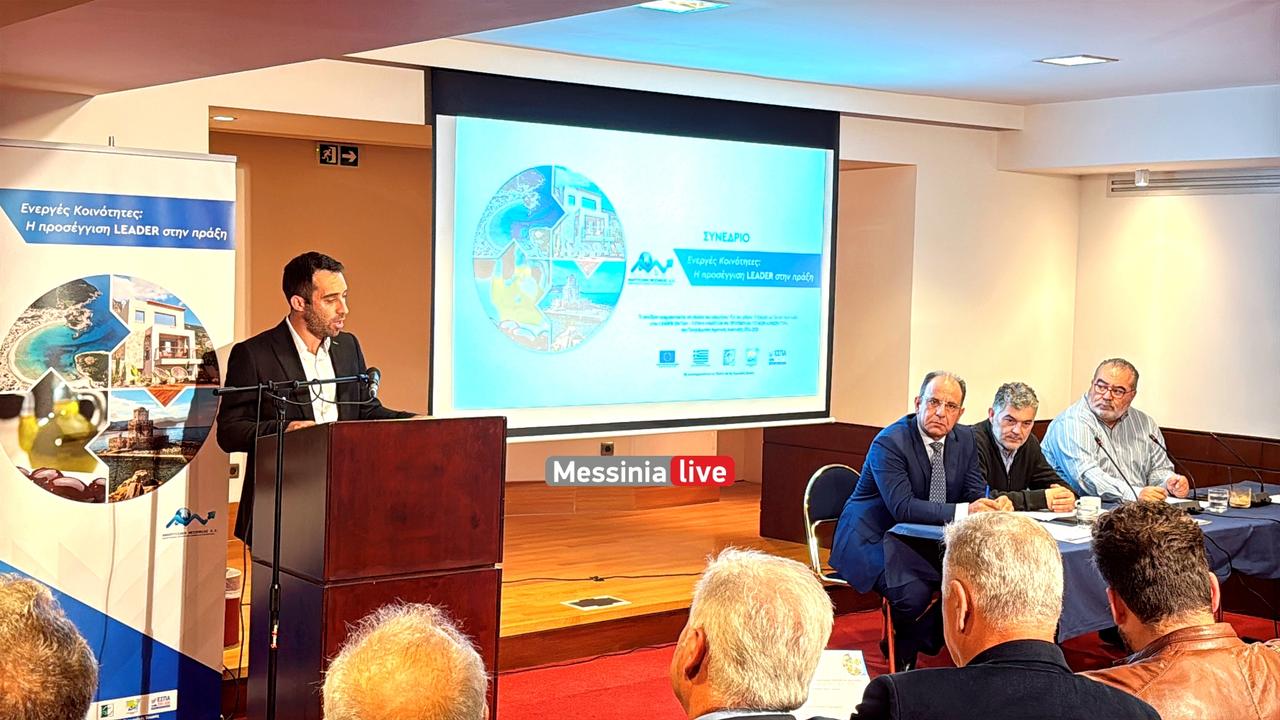 ANAPTYKSIAKH-IMG-4443