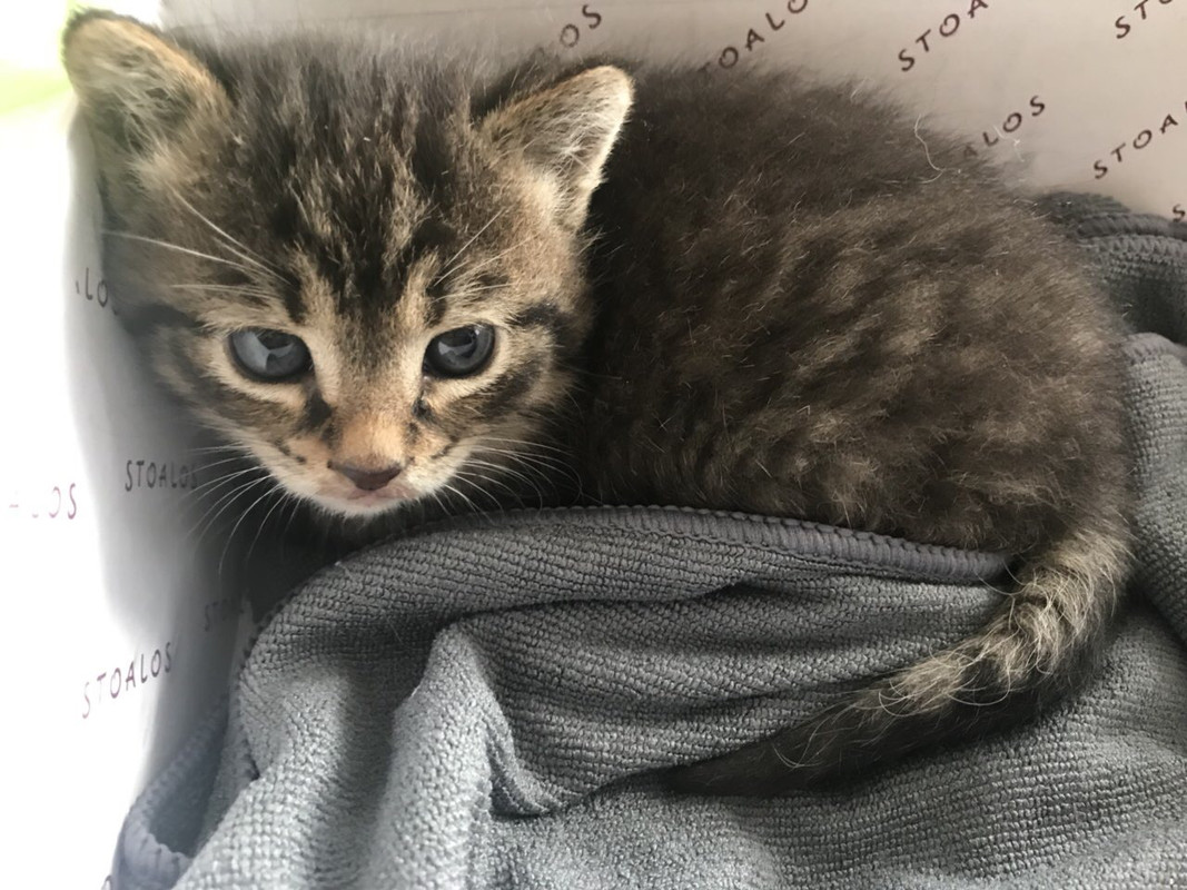 IMG_9889-07-06-19-09-01