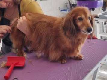 [Image: 20221104-171233.jpg]