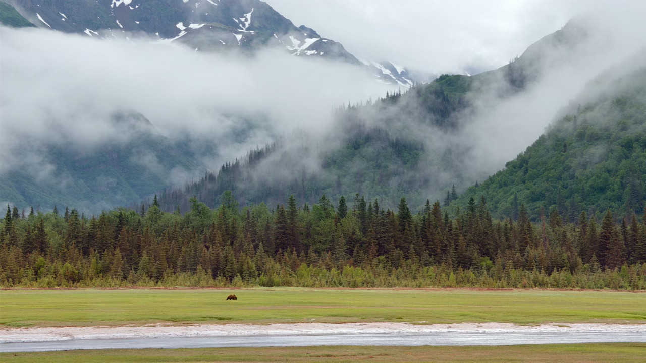 Bears (2014) (1080p BluRay x265 Silence)-5