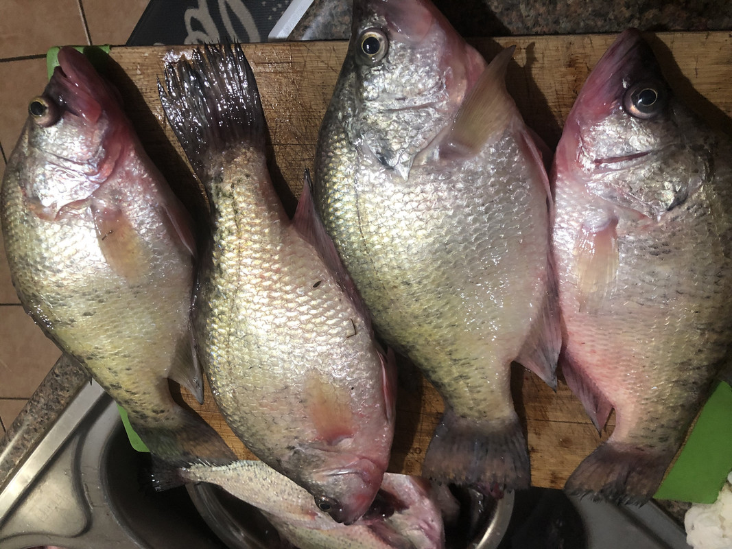 EF3C8748-16E9-4FAE-80FE-C984483A9DB2