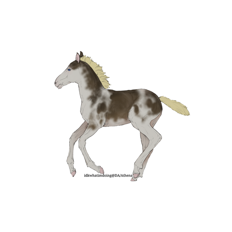 0-256628-Angels-Angels-N-A.png