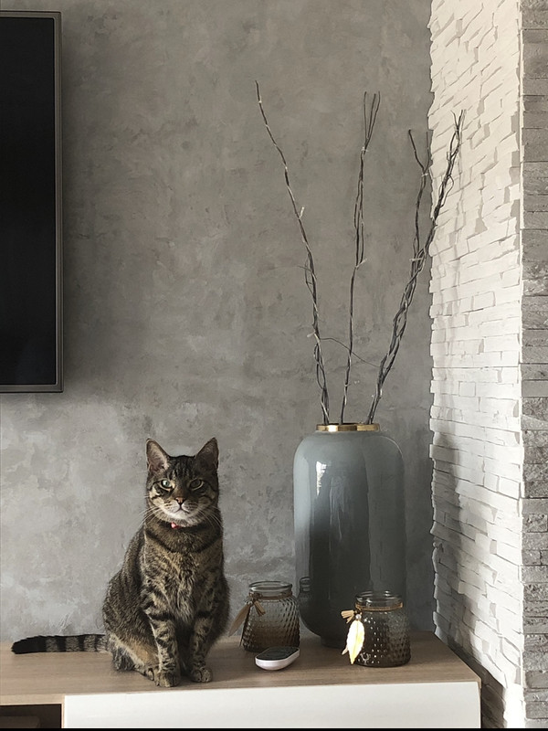 37E6E56F-424B-4645-A421-4DB52B6335F6