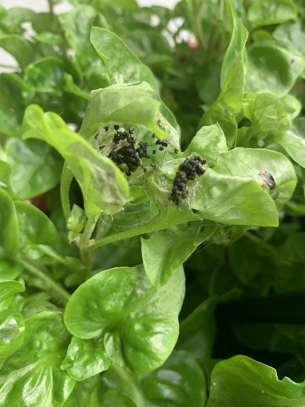 6F369C5F-9A7D-47F6-8724-C7A81E4DFB92