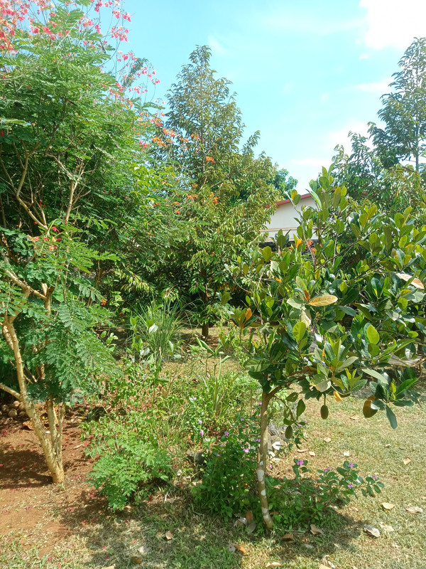 IMG20260612140324