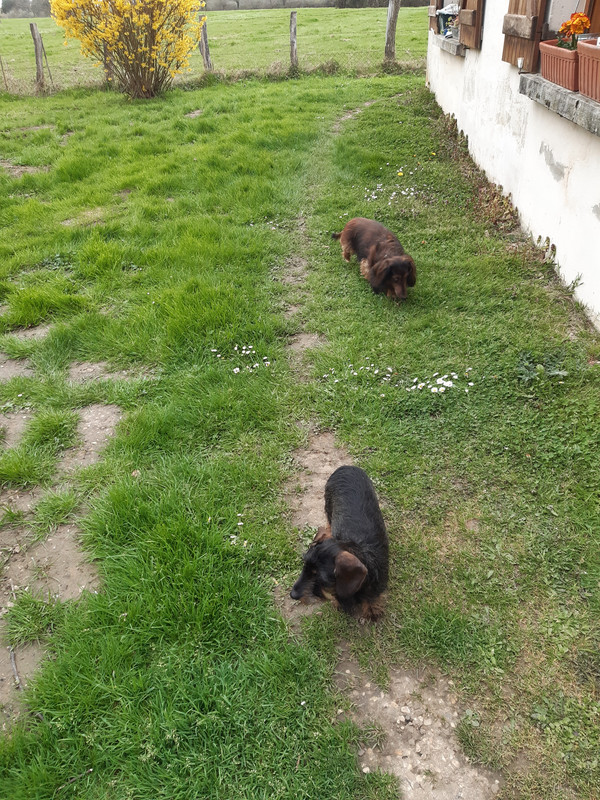 [Image: 20230329-183013.jpg]