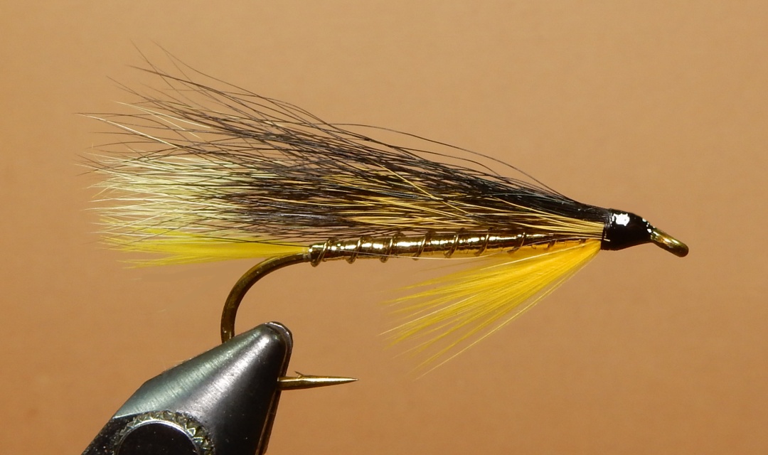 Goldie-1080.jpg