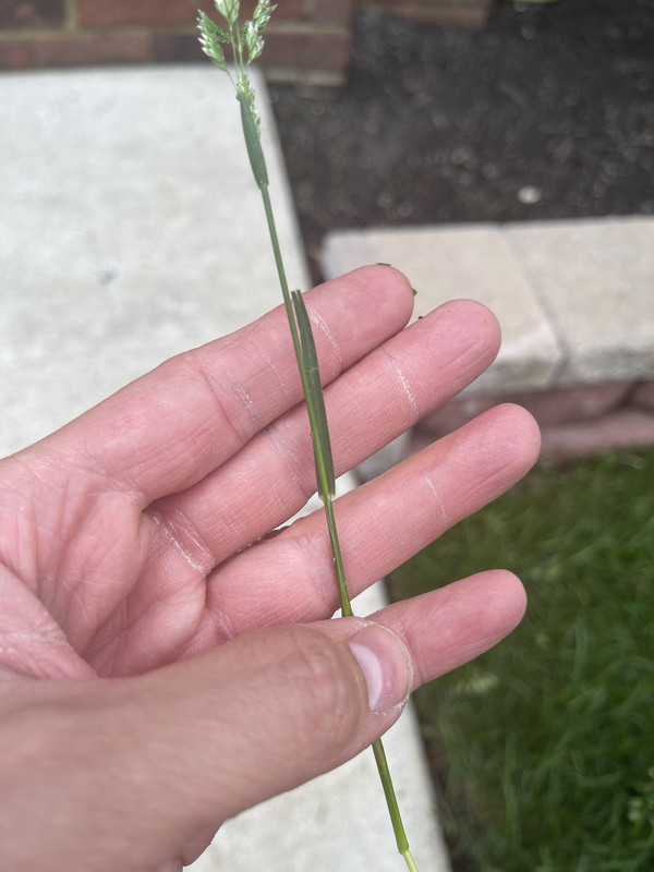 526F325A-EA8C-4B09-A76A-FD0803BC5A46