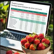 Planilha de Precificação Automática