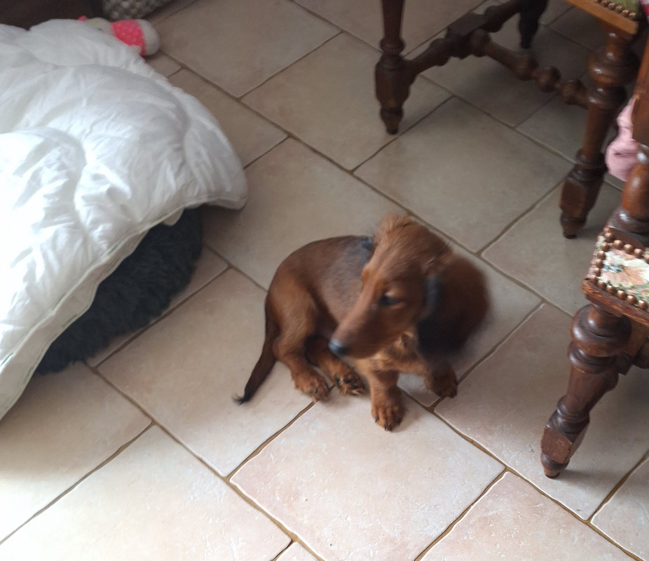 [Image: 20241025-143528.jpg]