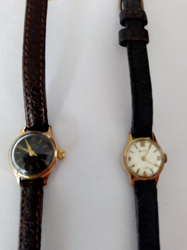 6fb981dd-ceb7-4419-8b99-b479fbc092fe