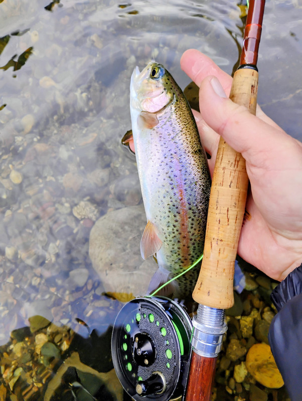 IMG 20260213 134149252 2