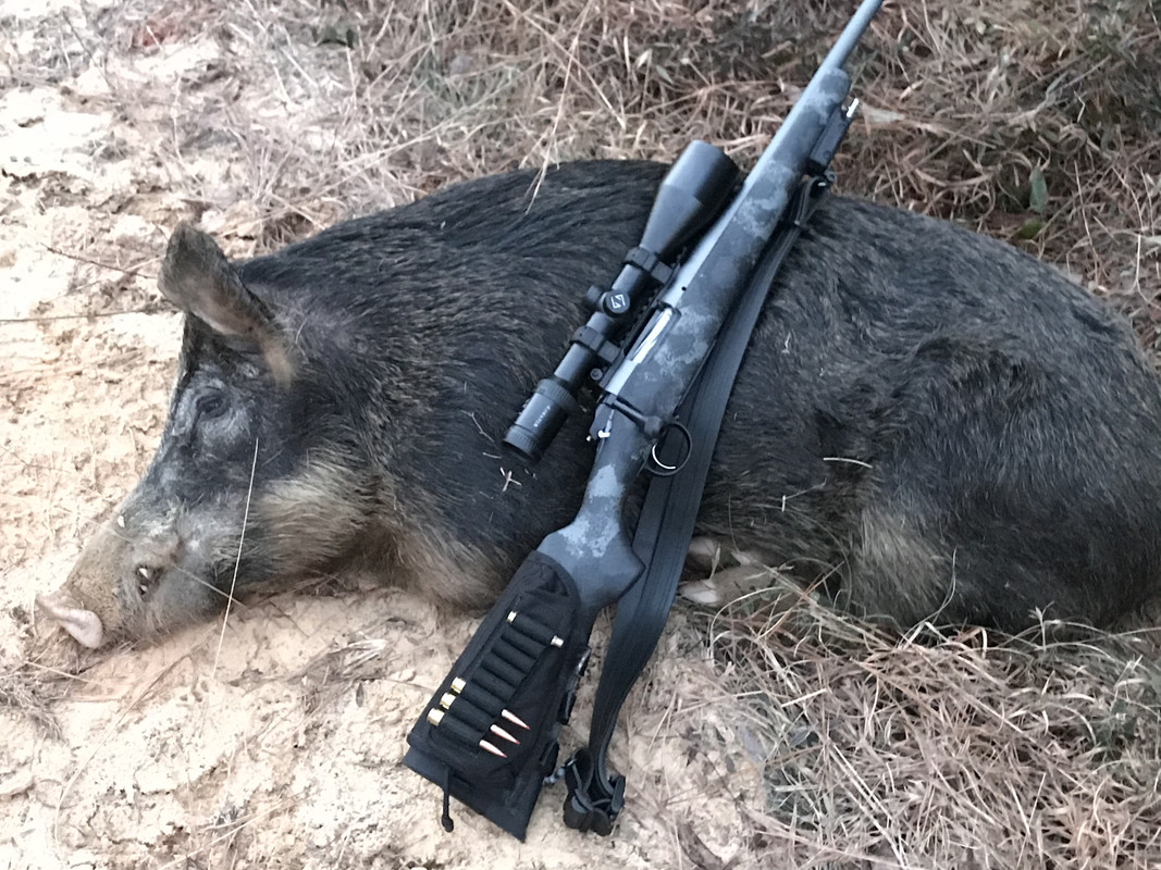 055F5BEE-E3B4-47C7-A49E-F8B4B65AC0F0