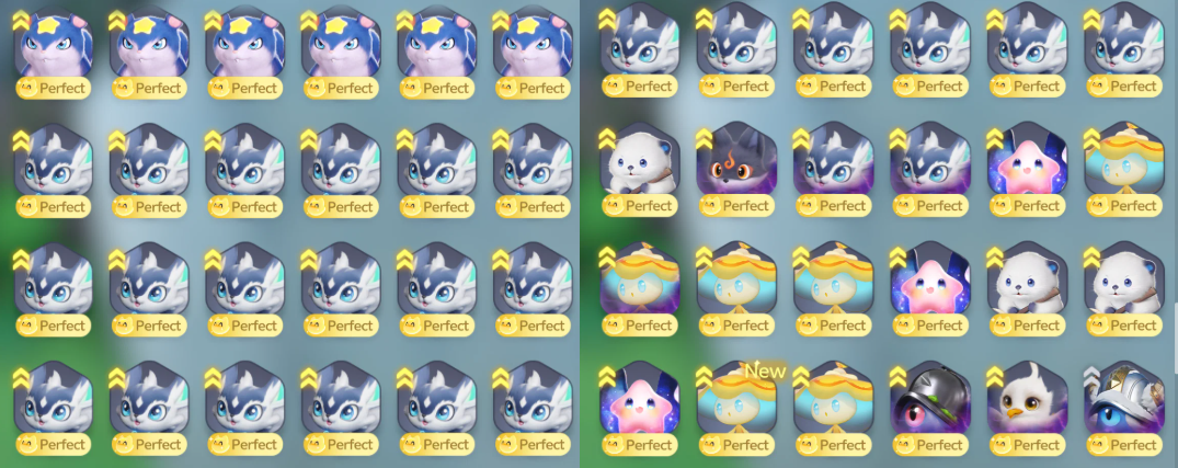 Screenshot 2026 09 29 221627