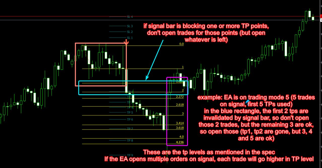 TP INVALIDATED EXAMPLE