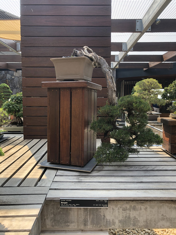 AA2-FEF9-B-5104-449-F-A6-C7-41-C6235-C49