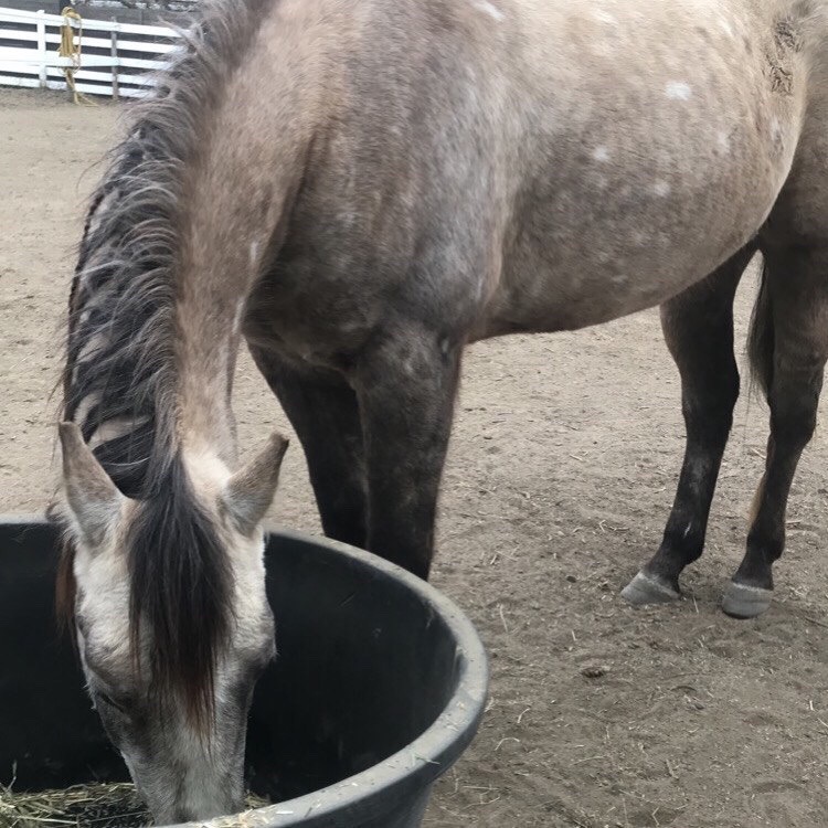 A25BE457-4DC7-4BA7-B98D-EF15BCEF6A4A