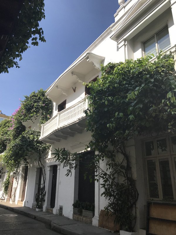 IMG_8795