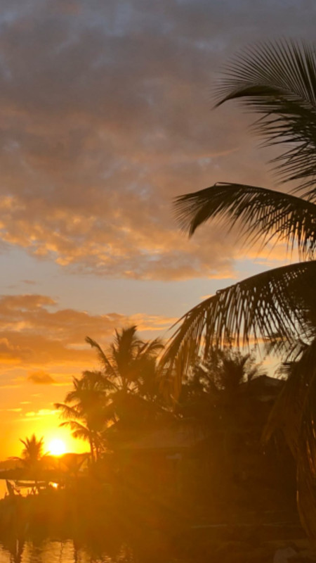 angelcandices~1555957590~2027842681321290837_43114731