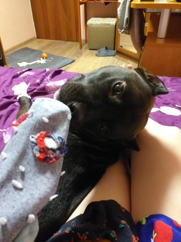 E54EC636-708E-4A43-87B5-0446887EC981