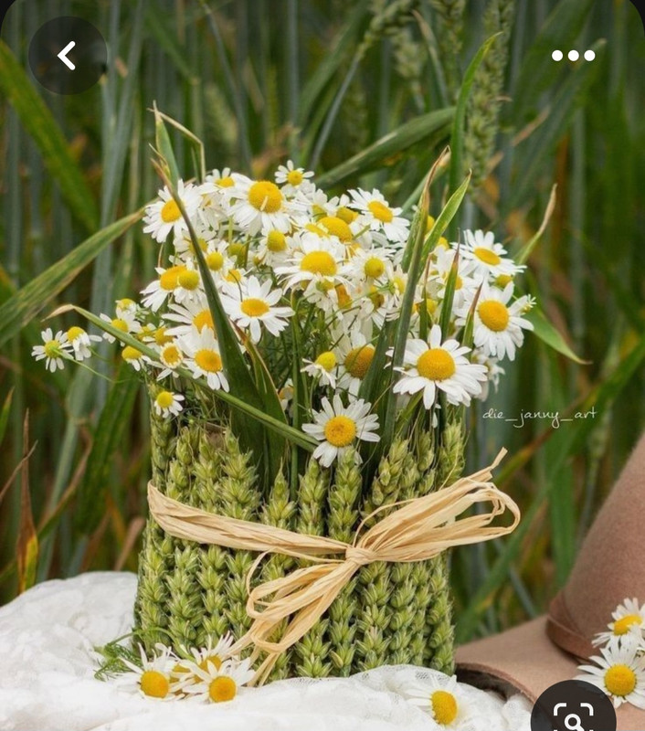 Screenshot_20230622_004317_Pinterest