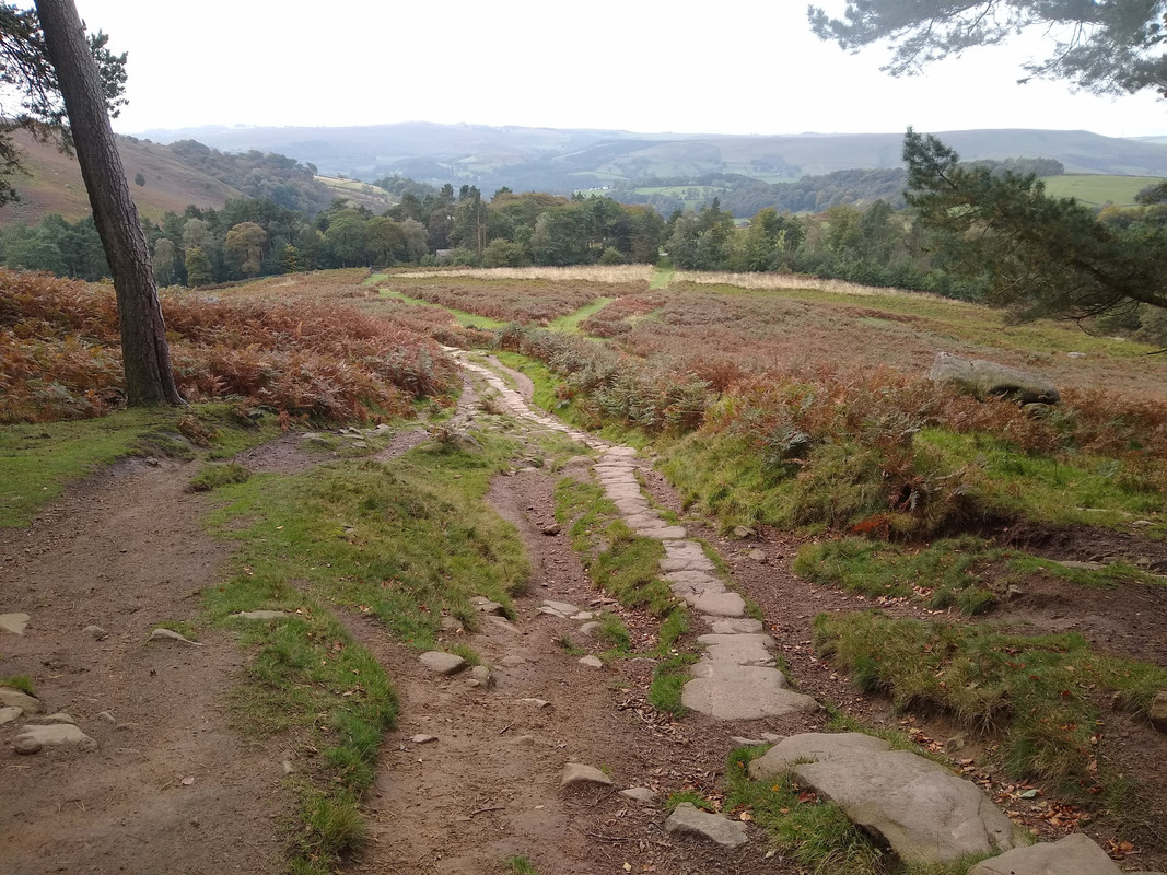 below Stanage plantation