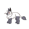 rabbit-m-himalayan-lilac.gif