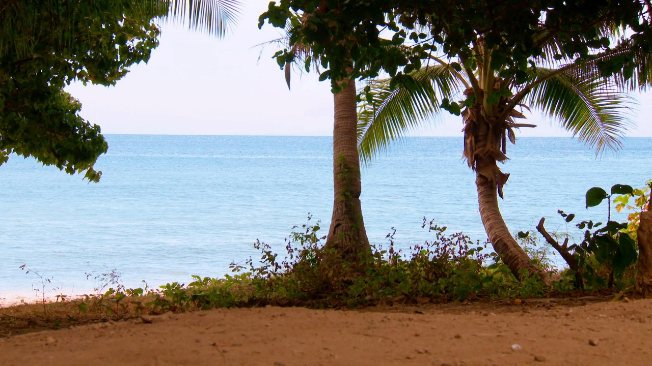 Beast Games S02E04 mkv snapshot 00 09 51 753