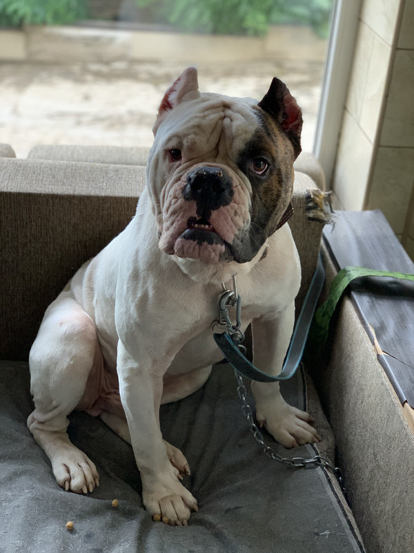 4EAFAE03-2EFD-4A69-B966-72061F9786BD