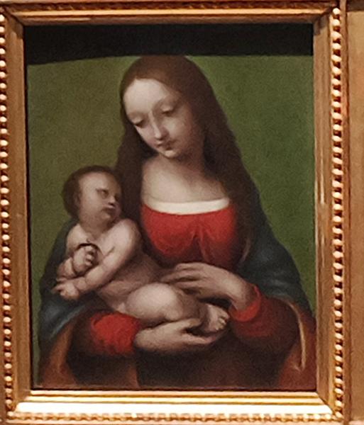 Milán-Turín-Génova-Pavía - Blogs de Italia - Pavía: la famosa batalla y sus torres medievales (143)