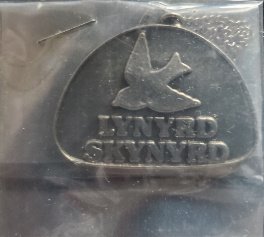 246953884 10224600882426218 3248389355752871807 n