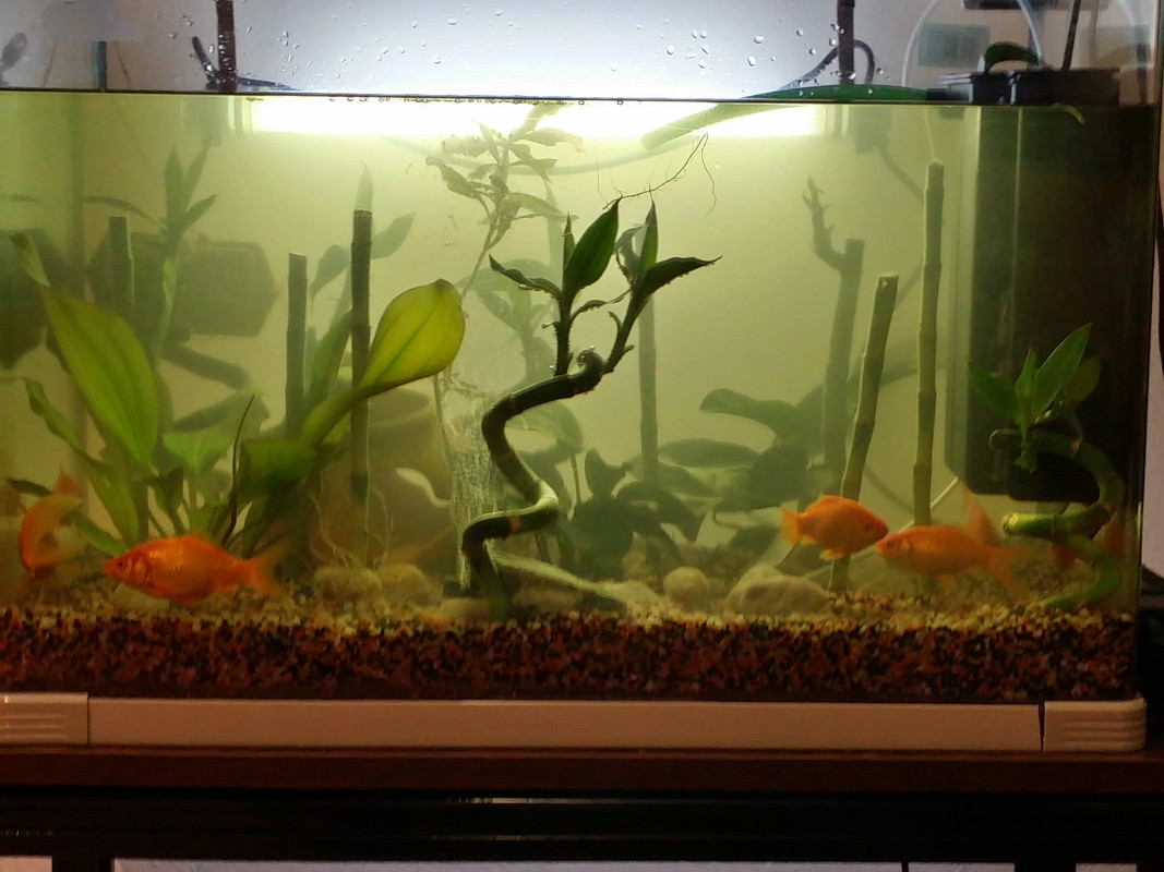 20140828_210704_Richtone(HDR)