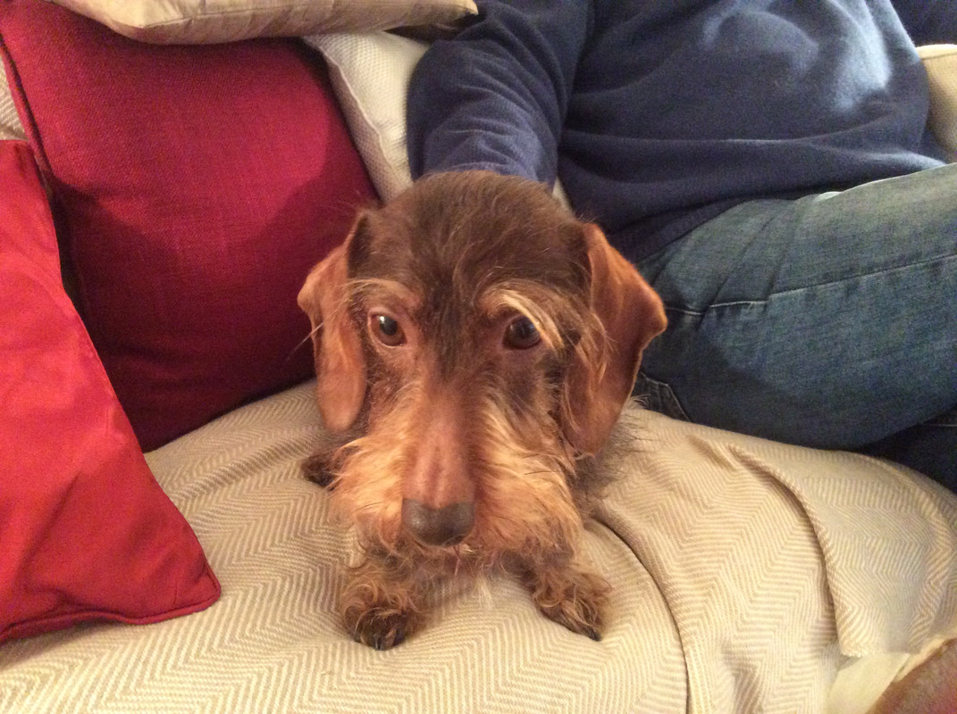 [Image: 7-F604-C7-A-3-B83-4935-A69-A-1757-BB751-B52.jpg]