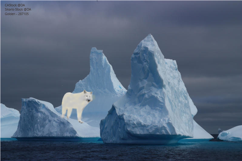Ice-Age.png