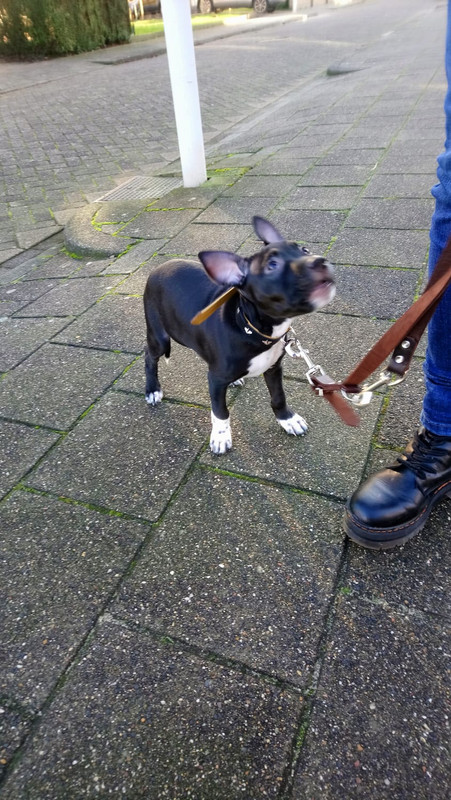 CE6E4323-5DEC-4BC5-91E7-021AA376B0B7