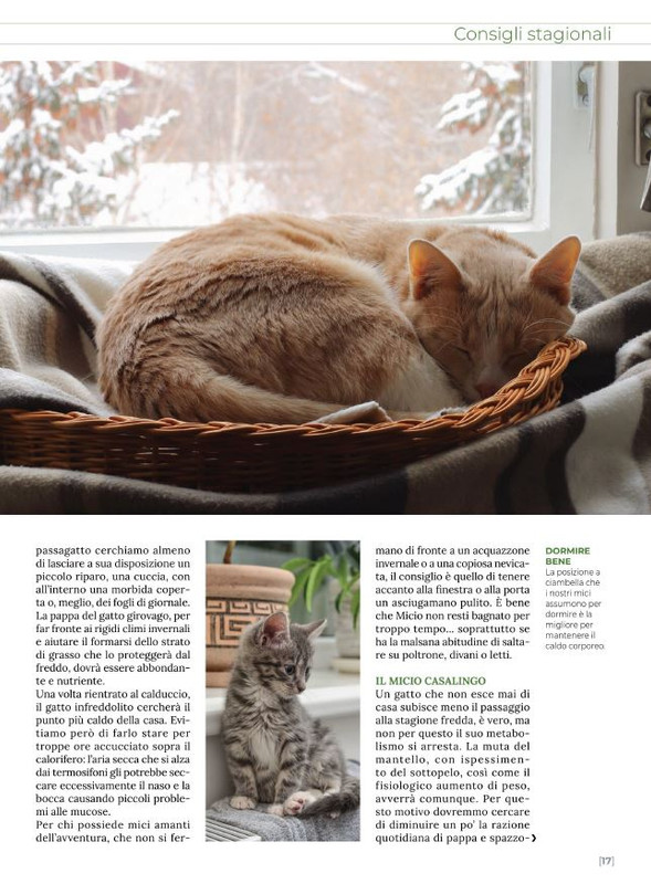 Ga Ma Dic 2021-Gen 2022 (2)