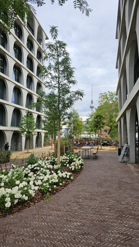 20250724-182251.jpg
