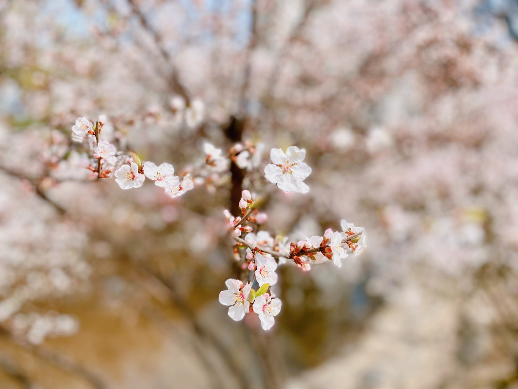 휴가를 맞이하여 나들이 다녀왔습니다 | 인스티즈