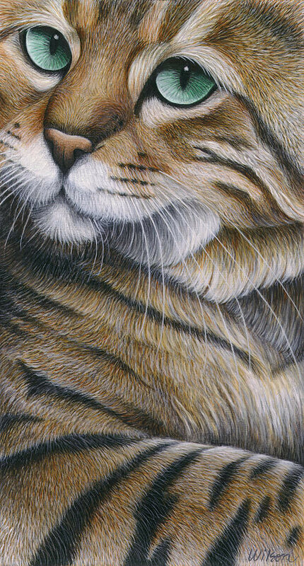04-cropped-cat-6-carol-wilson