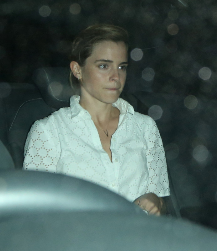 watsonuncensored.blogspot.com (55)