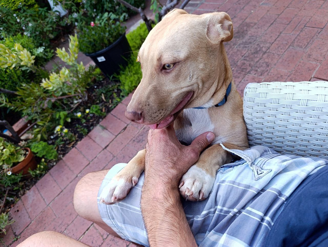 Такая близкая Африка. (ЮАР. 22 дня и 4200 км. Ноябрь-Декабрь)