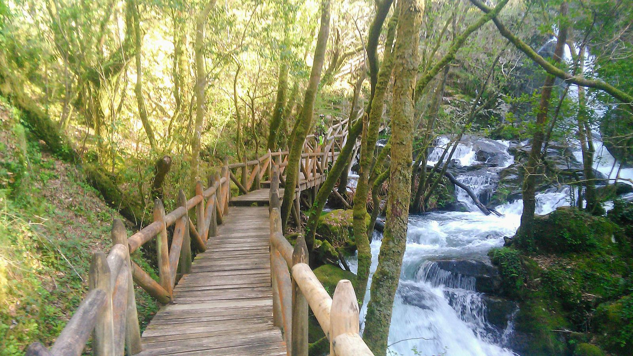 El Camino de Santiago - Forum Galicia