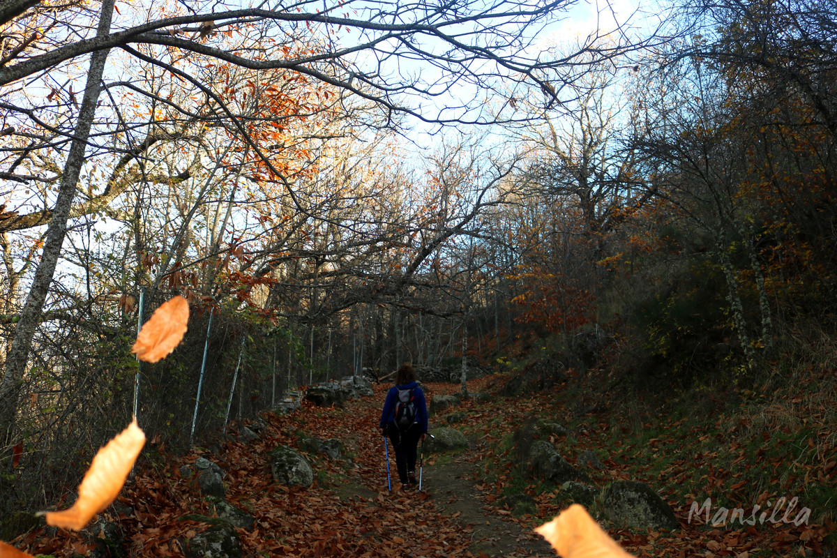 Castañar_RDPR_0283_03