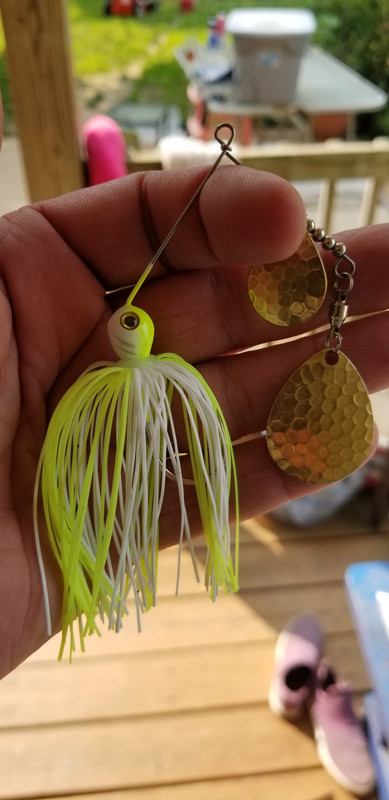 20190604-165108.jpg