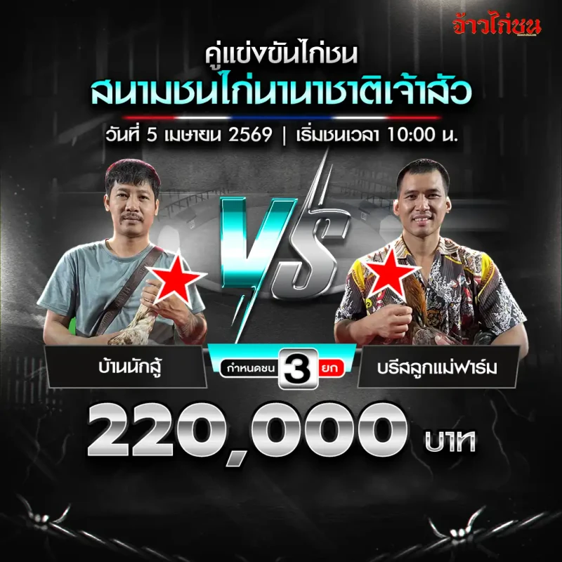 โปรแกรมไก่ชน คู่ บ้านนักสู้ พบ บรีสลูกแม่ฟาร์ม สนามชนไก่นานาชาติเจ้าสัว