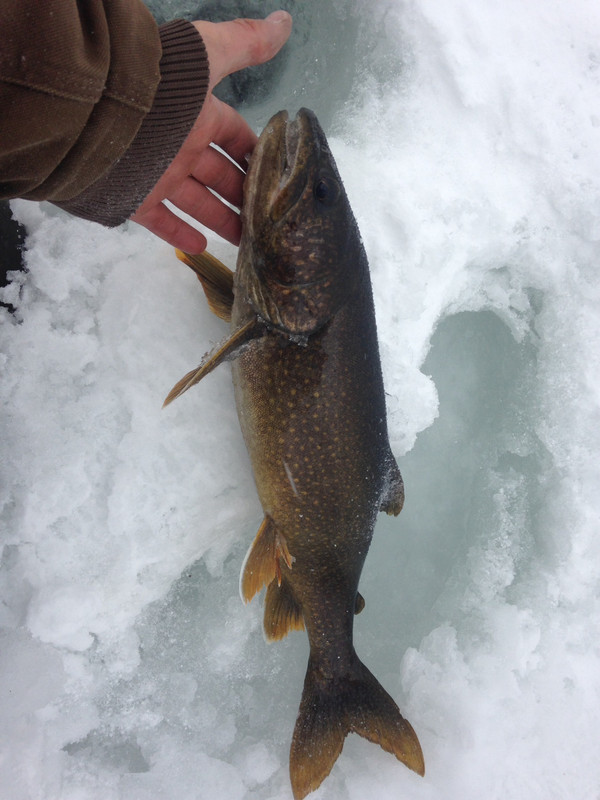 41C07942-CA13-44F3-B3A2-DFD50B26C4AB